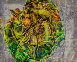 The Apron of Abundance