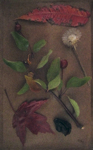 New Work: Autumn