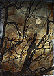 Dreamscapes: Batik #2: The Krasang Tree