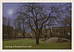 Cityscapes: Evening in Bennett Park