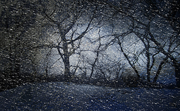 Landscapes: Blizzard
