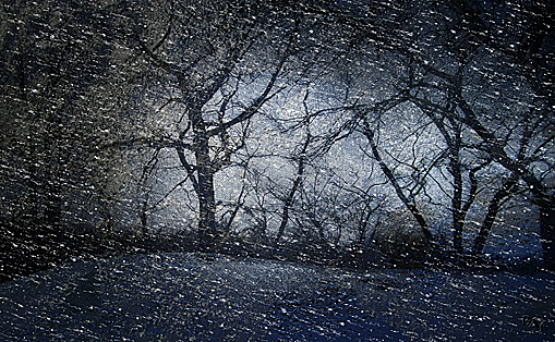 Landscapes: Blizzard