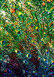 Abstracts: Brocade #2