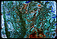 Clich Verre No. 197:Aquarium #7