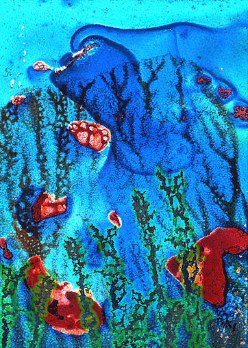 Clich Verre No. 219: Beneath the Waves #9