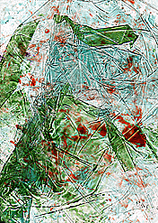 Clich Verre #238: Pond Life #5, Hard Freeze