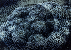 Clich� Verre No. 127: The Circle of Gaia