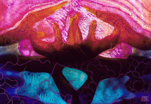 Clich Verre No. 18: Enlightenment