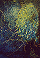 Cliché Verre No. 40: The Alchemist’s Mirror