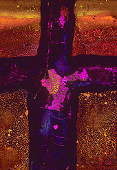 Clich� Verre No. 43: Crossroads