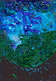 Cliché Verre No. 72: Beneath the Waves