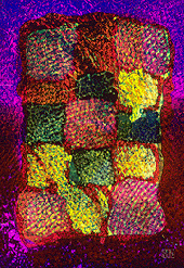 Clich� Verre No. 85: Dream Blanket