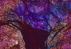 Clich� Verre No. 107: Bouquet