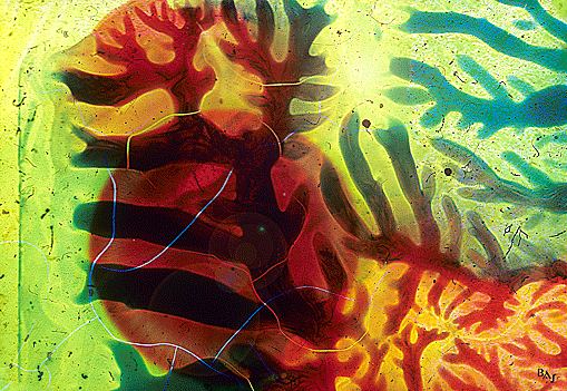 Clich Verre No. 135: The Sea in Our Veins