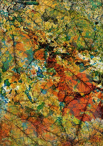 Clich Verre No. 207: Summer into Autumn