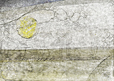 Clich Verre No. 309: Bleached Landscape