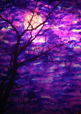 Clich Verre No. 322: Moonlight on the Water