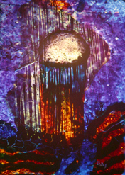 Clich Verre #328: To The Moon