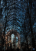Dreamscapes: The Sacred Grove