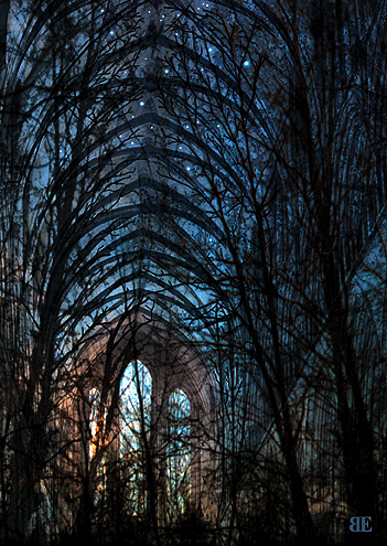 Dreamscapes: The Sacred Grove