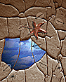 Dreamscapes: The Wellspring of Memory