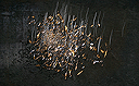 Abstracts: Fall