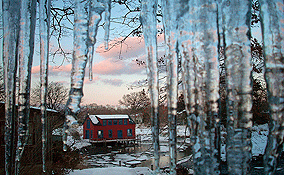 Landscapes: February