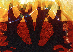 Clich� Verre #120: Ritual Fire Dance