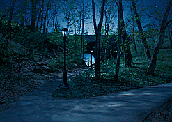 Cityscapes: Fort Tryon Park