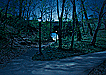 Cityscapes: Fort Tryon Park