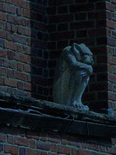 Cityscapes: The Grumpy Gargoyle
