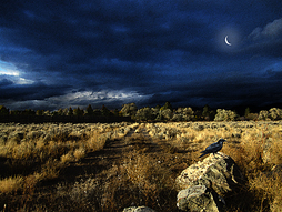 Landscapes: La Cuesta de la Luna