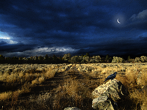Landscapes: La Cuesta de la Luna
