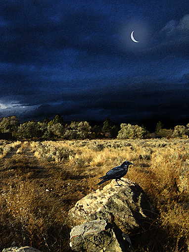 Landscapes: La Cuesta de la Luna - Close-Up