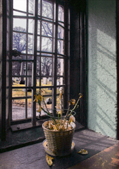 Cityscapes: Midwinter