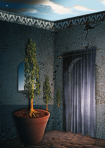 Dreamscapes: Nature