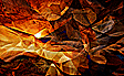 New Work: Cosmic Origami