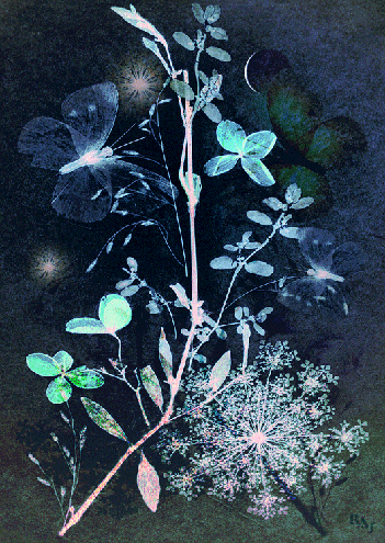 Abstracts: Pressed Flowers #2