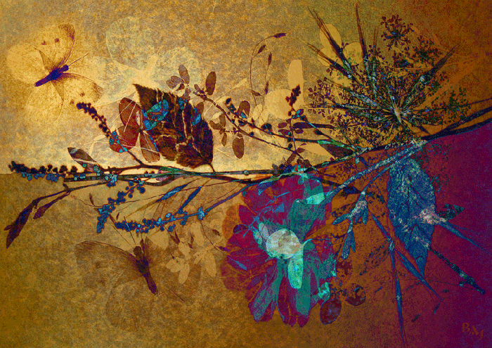 Abstracts: Pressed Flowers #3