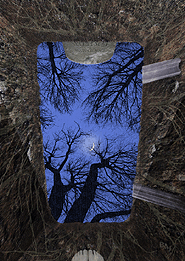 Dreamscapes: Quod Sum