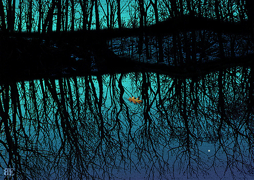 Landscapes: Reflections