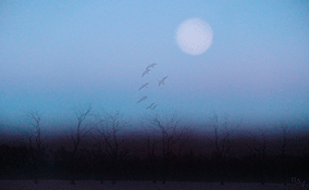 Landscapes: Returning