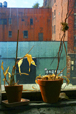 Cityscapes: Thirst