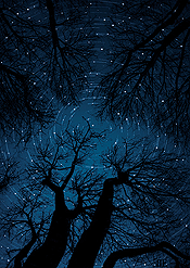 Dreamscapes: The Passage of Time