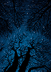 Dreamscapes: The Passage of Time