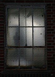 Cityscapes: The Visitor