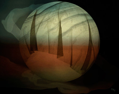 Abstracts: The Wind in the Trees